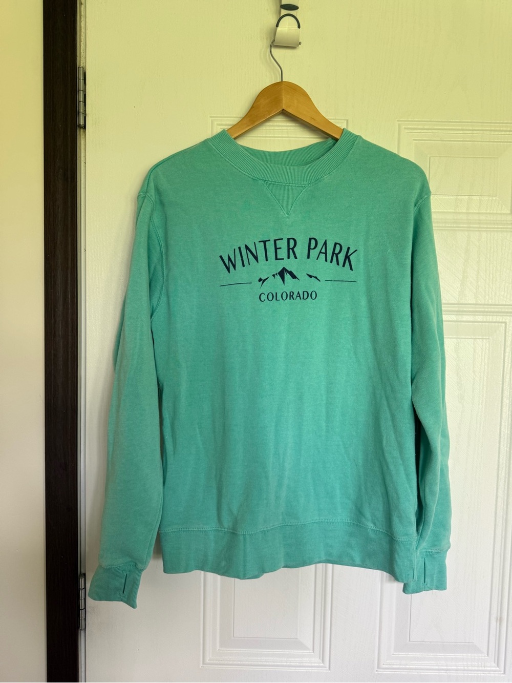 2 for $20 sale: Ocean beach mint green sweatshirt Winter Park Colorado